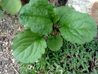 02092012848.webp
