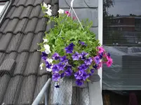 DSC02512.webp