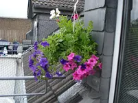 DSC02510.webp
