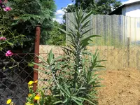 SAM_0105.webp