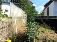 SAM_0104.webp