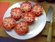 Tomatenernte August2012(27).webp