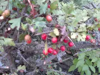 2012-09-01-073.webp