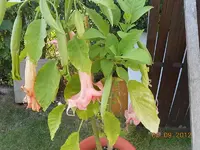 DSCN0473.webp