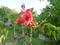 DSCN0471.webp