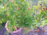 DSCN0479.webp