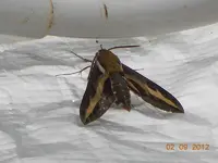 DSCN0460.webp