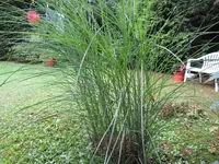 IMG_0152.webp