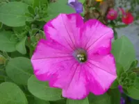 DSC09599.webp