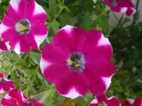 DSC09572.webp
