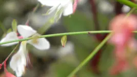 DSCN3659.webp