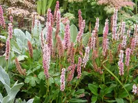 DSCF0291.webp