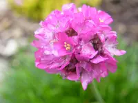 DSCF0310.webp
