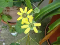 CIMG6768.webp