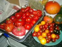 CIMG0003.webp