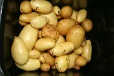 20120901_2667.webp