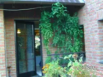 BILD1428.webp
