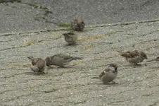 2012_0902Sommer0015.webp