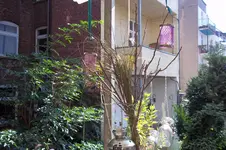 100_0809.webp
