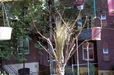 100_0810.webp