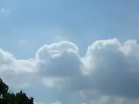 DSC00048.webp