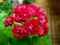 IMG_3765.webp