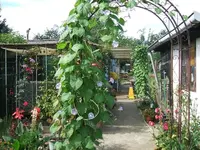 2012_0902garten120002.webp