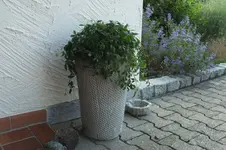 2012_0905Sommer0013.webp