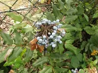 071.webp