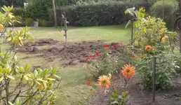 garten_klaus.webp
