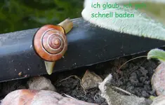 DSCF0334 - Kopie.webp