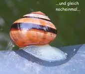DSCF0336 - Kopie.webp