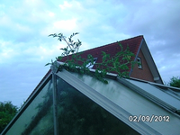 k-BILD1429.webp