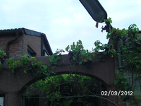 k-BILD1436.webp