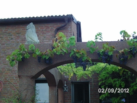 k-BILD1437.webp