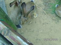 k-BILD1430.webp
