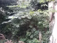 2012-09-05 19.35.43.webp