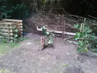 2012-09-05 19.37.13.webp
