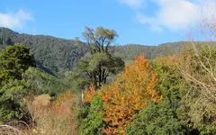 Copy of IMG_0777v.webp