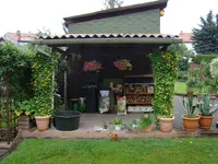 Raum für Tomatenkübel 2013.webp