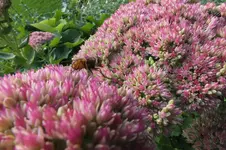 2012_0905Sommer0024.webp