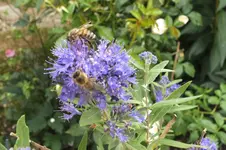 2012_0904Sommer0021.webp