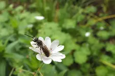 2012_0904Sommer0038.webp
