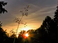 Abendstimmung_092.webp