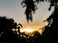 Abendstimmung_066.webp