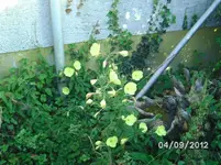BILD1331.webp