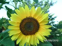 BILD1332.webp