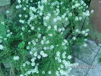 BILD1334.webp