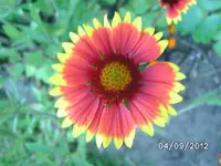 BILD1336.webp
