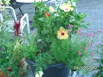 BILD1338.webp